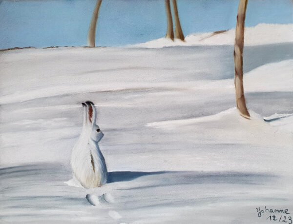 Lièvre - A5